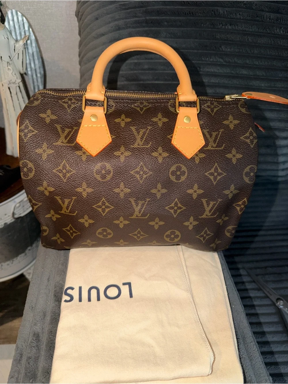 Louis Vuitton Speedy 25 bag